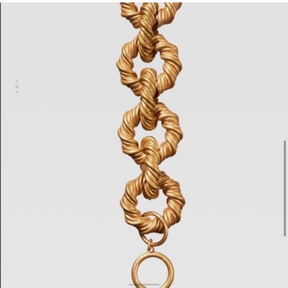 Zara Link Twist Chain or Box Chain Limited Edition Bracelet - Picture 5 of 16